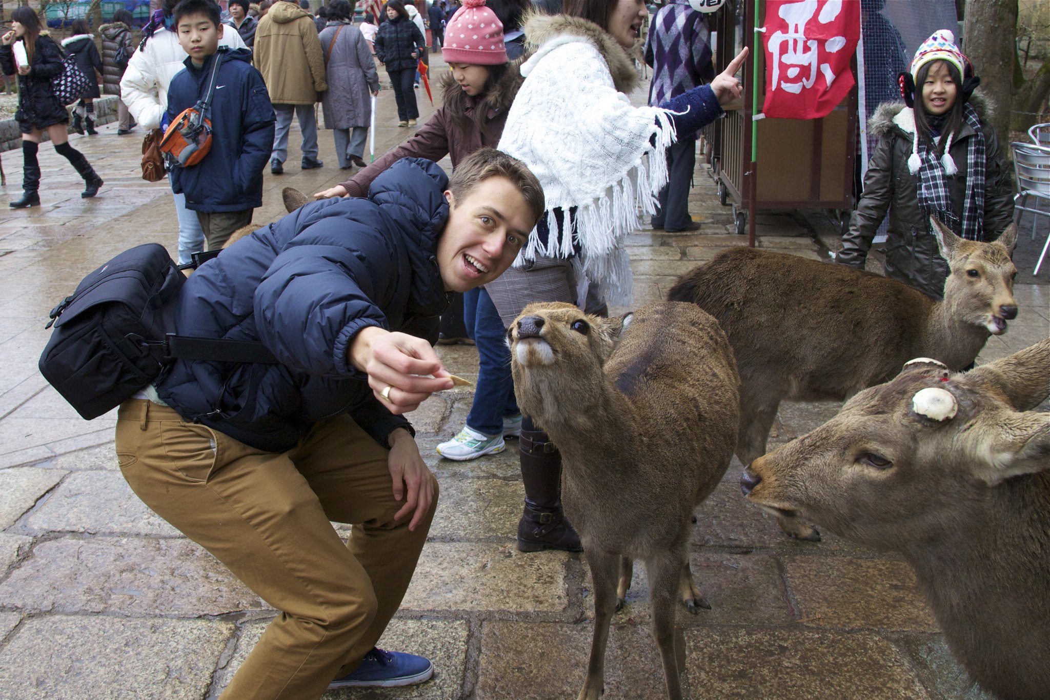 Trying to get a selfie with the deer.