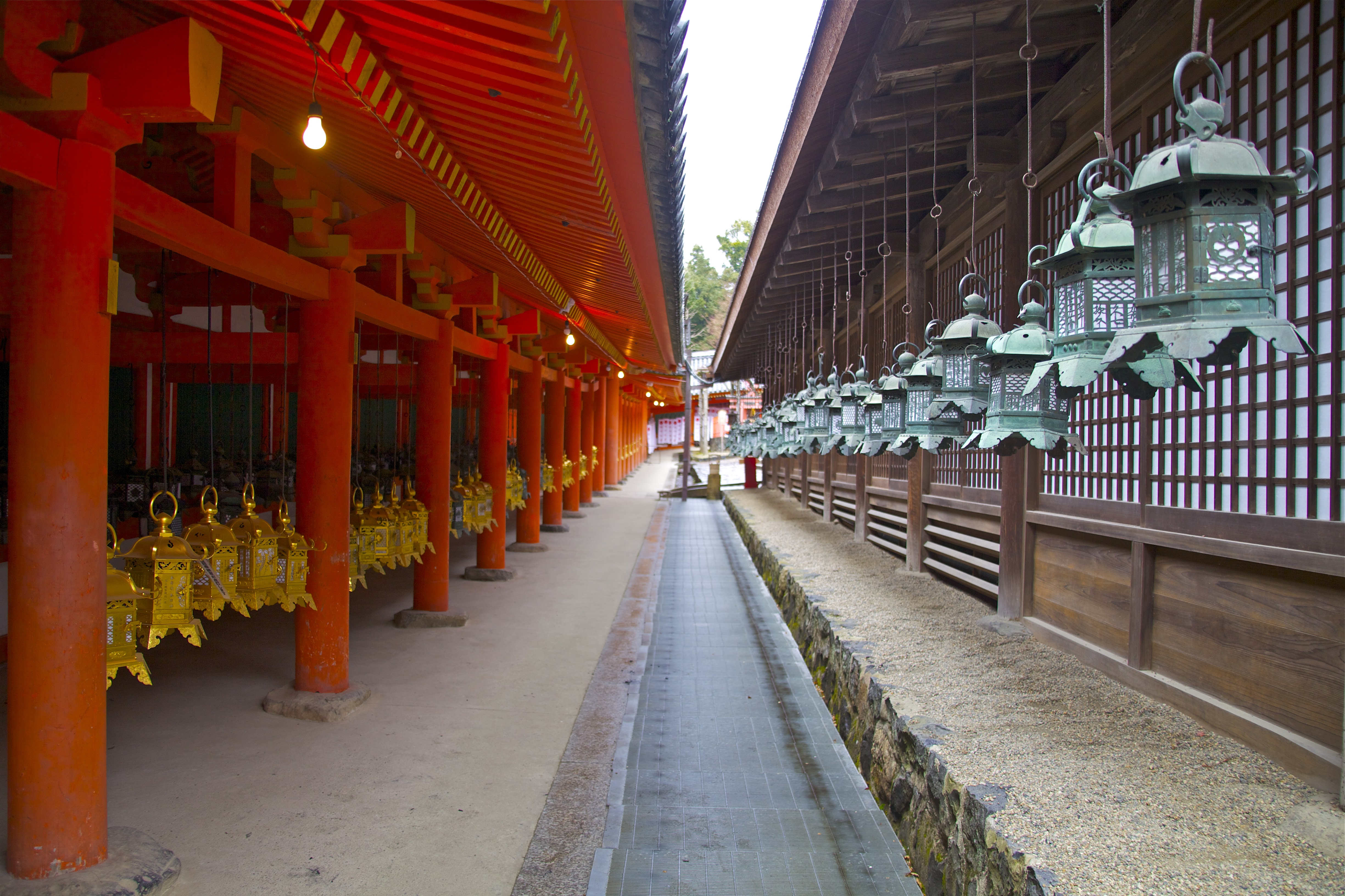 A hallway of lanterns.
