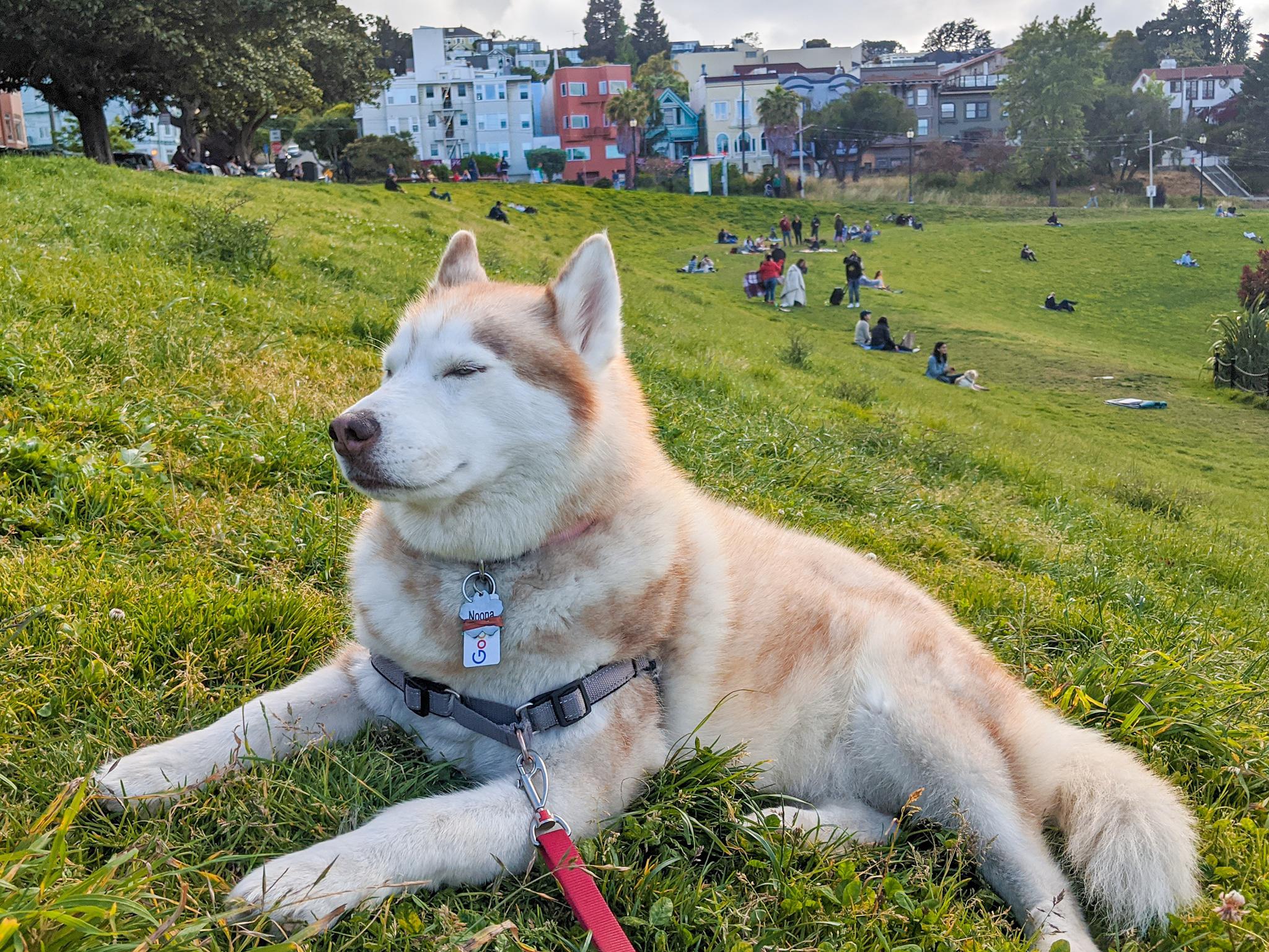Noona relaxing at Dolores Park.