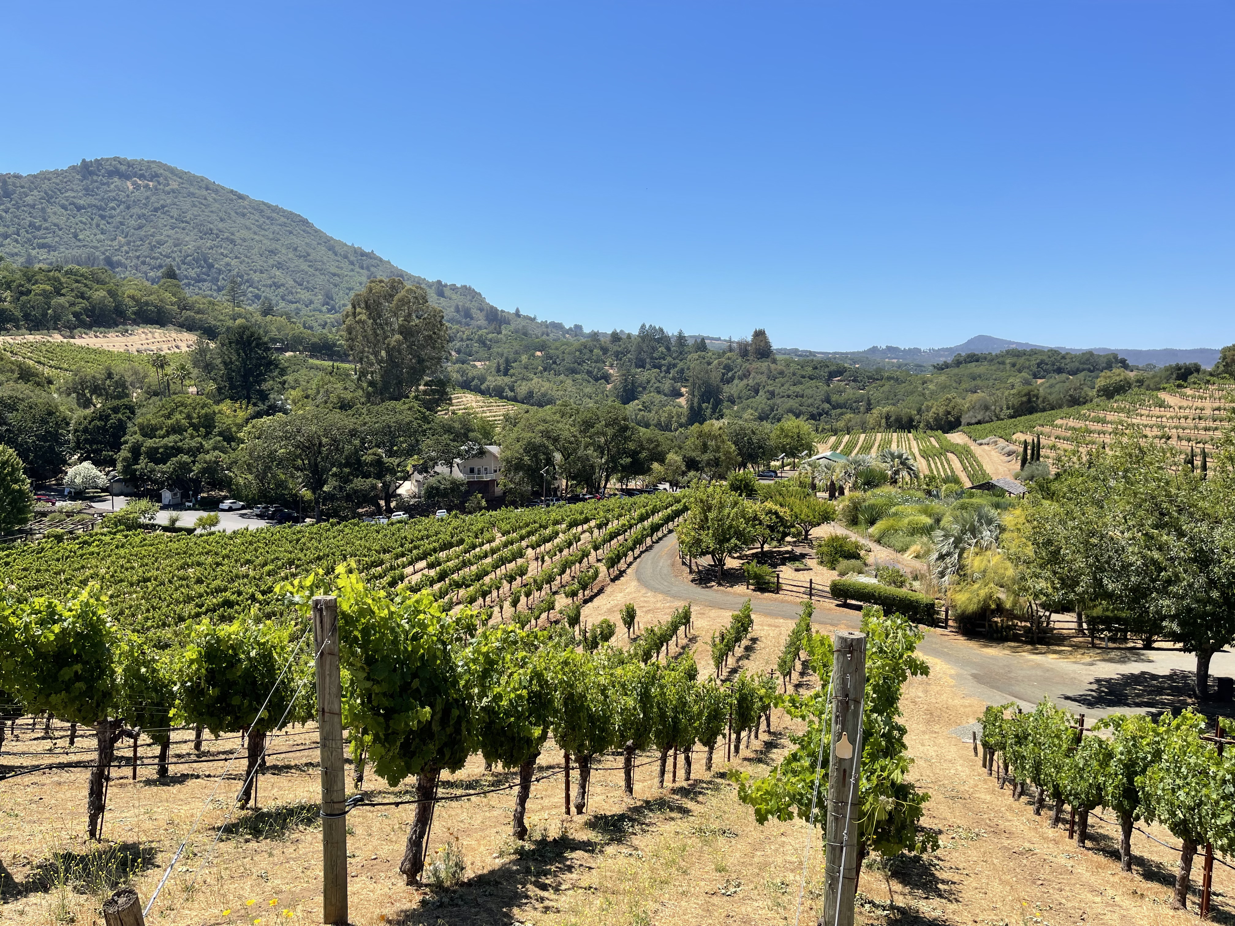Sonoma