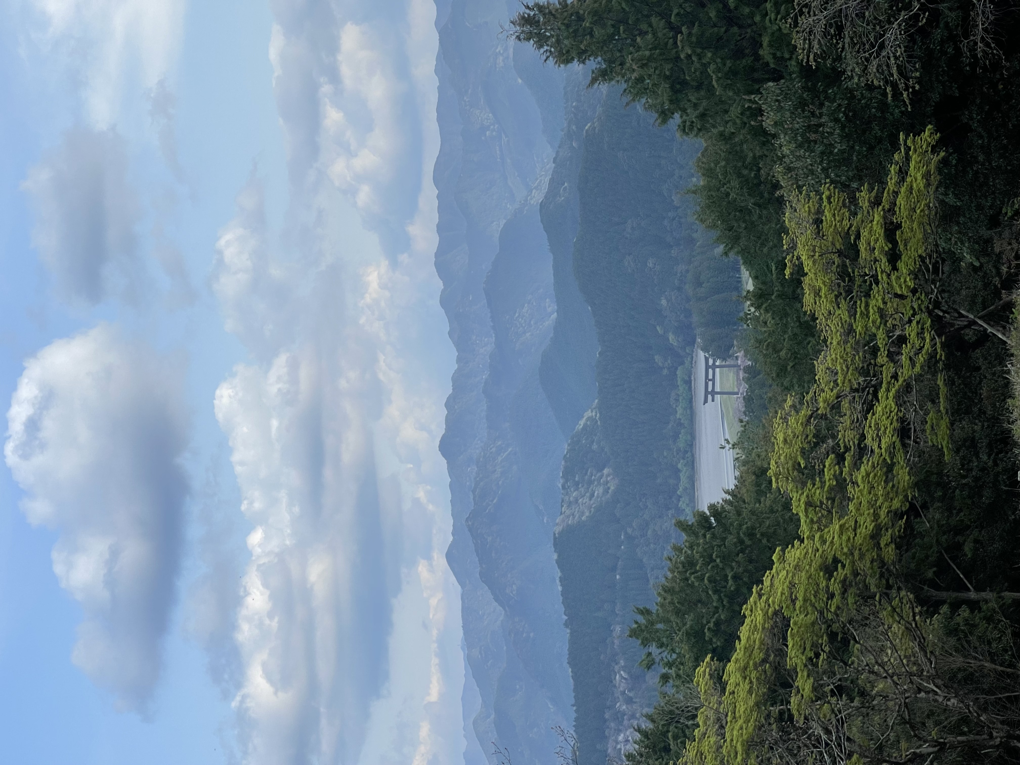 A view of Hongu Taisha through the trees.